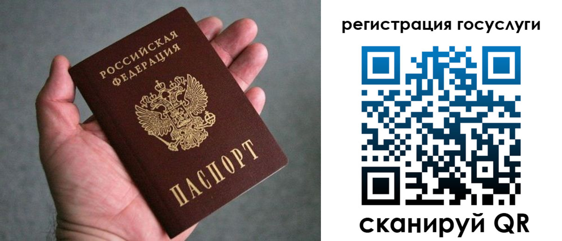 прописка поиск в Хабаровском крае